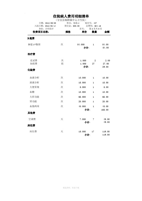 住院病人费用明细清单