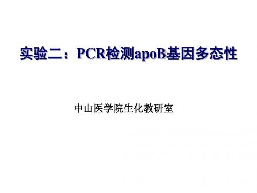 生化-年研究生实验2 PCR检测apoB基因多态性