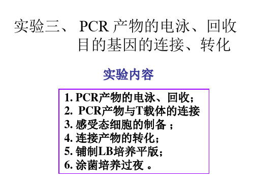 目的基因的连接转化refresh.