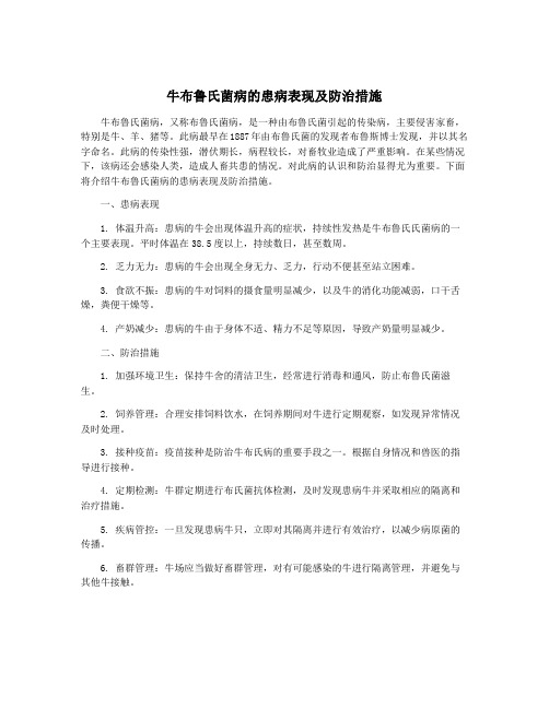 牛布鲁氏菌病的患病表现及防治措施