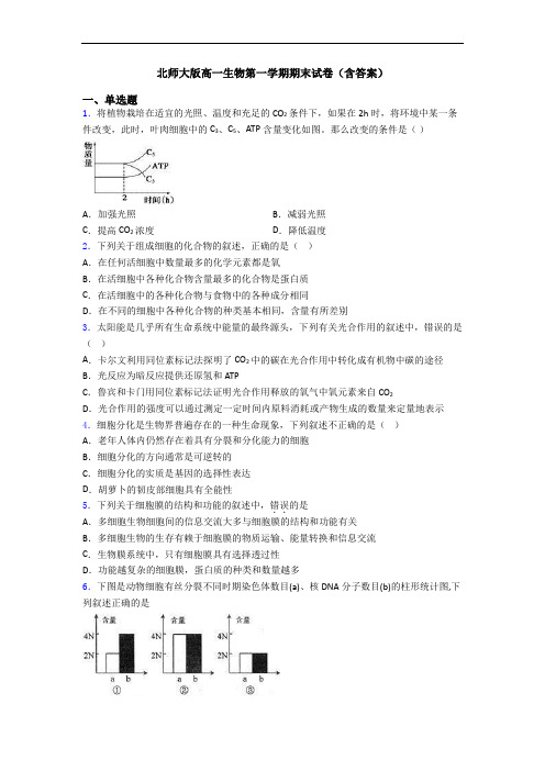 北师大版高一生物第一学期期末试卷(含答案)