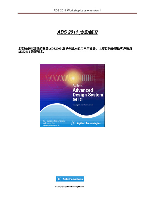 ADS2011教程