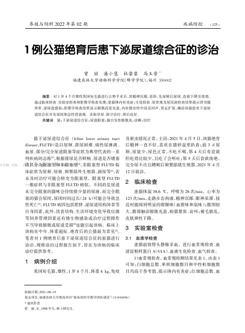 1例公猫绝育后患下泌尿道综合征的诊治