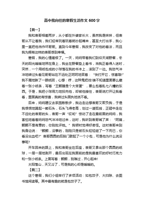 高中我向往的寒假生活作文600字