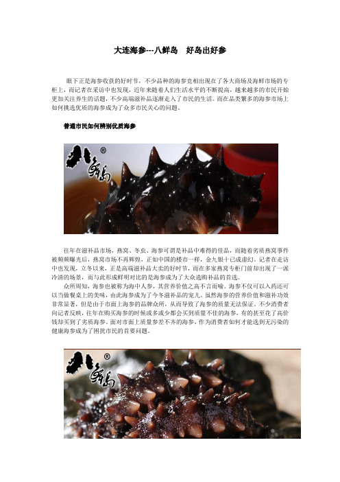 大连八鲜岛好岛出好参,无公害养殖——吃出健康,吃出营养
