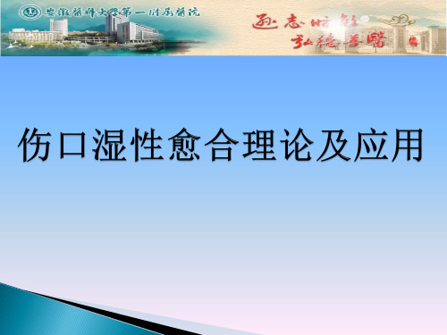 --伤口湿性愈合理论及应用_PPT课件