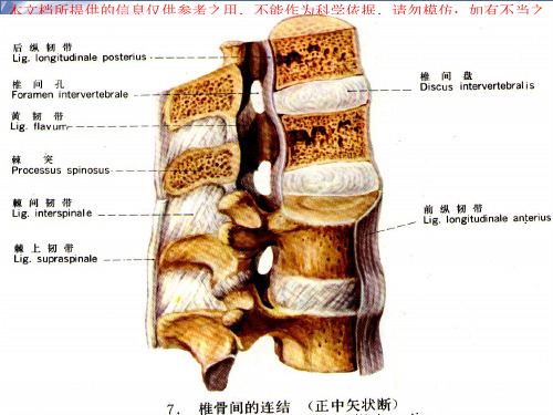 腰椎影像解剖和常见病变培训课件