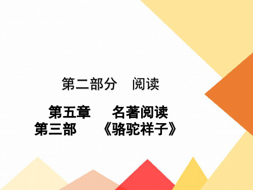 中考名著阅读(附加题)《骆驼祥子》