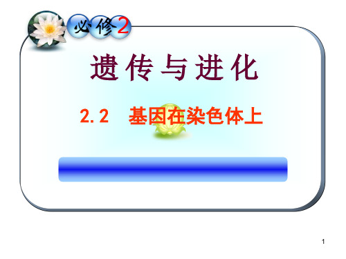 《基因位于染色体上》【公开课教学PPT课件  高中生物】