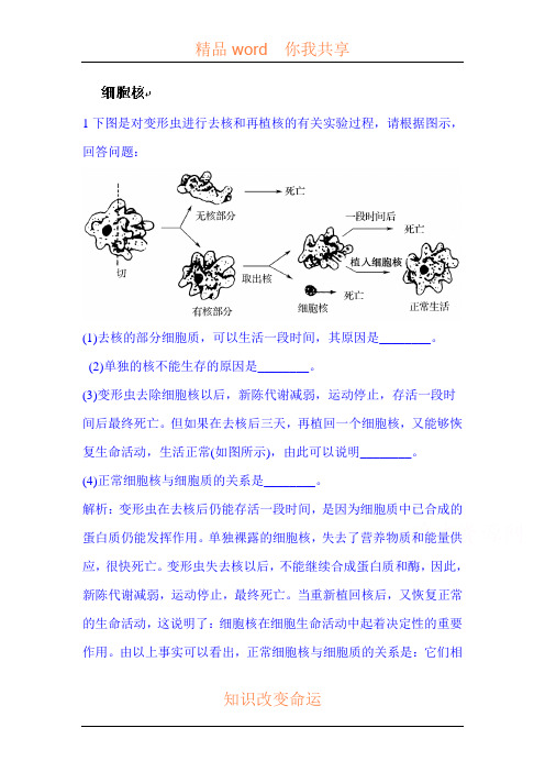 高二生物下册课时综合检测题45