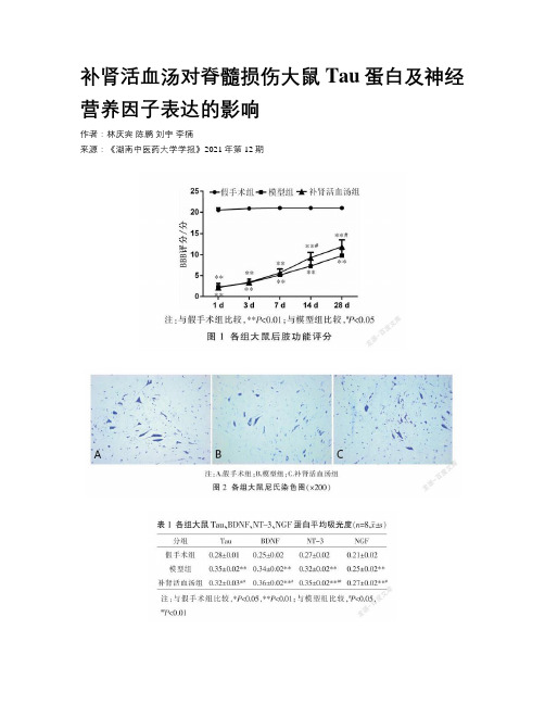 补肾活血汤对脊髓损伤大鼠Tau蛋白及神经营养因子表达的影响