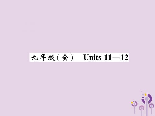 中考英语总复习第1部分教材知识梳理篇九全Units11_12(精讲)课件