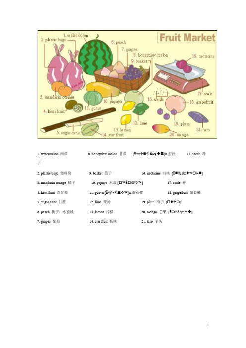 儿童看图学单词