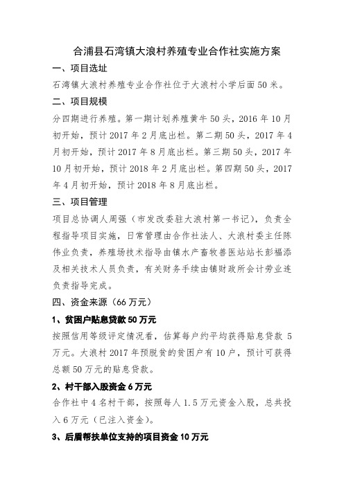 合浦石湾镇大浪村养殖专业合作社实施方案