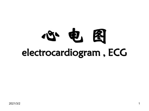 完整心电图学习精选课件PPT