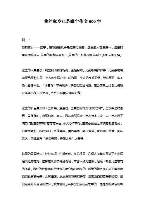 我的家乡江苏睢宁作文600字