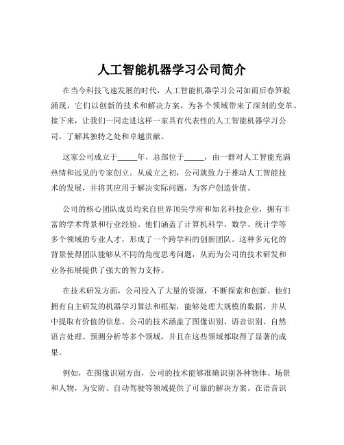 人工智能机器学习公司简介