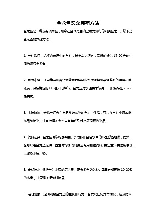 金龙鱼怎么养殖方法