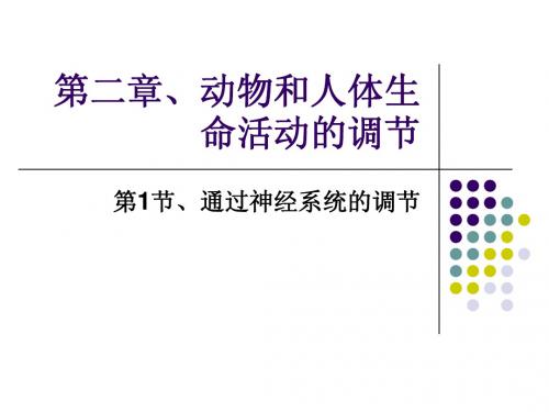 高中生物必修三第二章、动物和人体生命活动