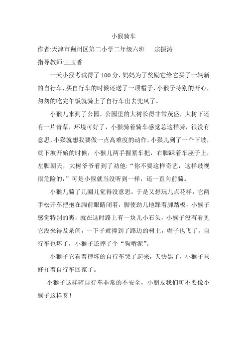 小猴骑车 宗振涛