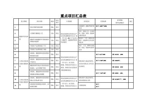 重点项目汇总表