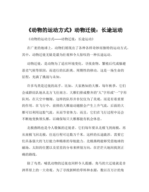 《动物的运动方式》动物迁徙：长途运动