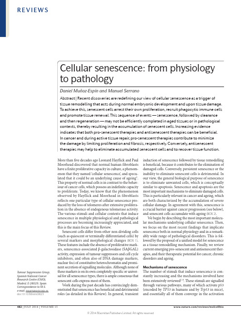 Cellular senescence from physiology to pathology