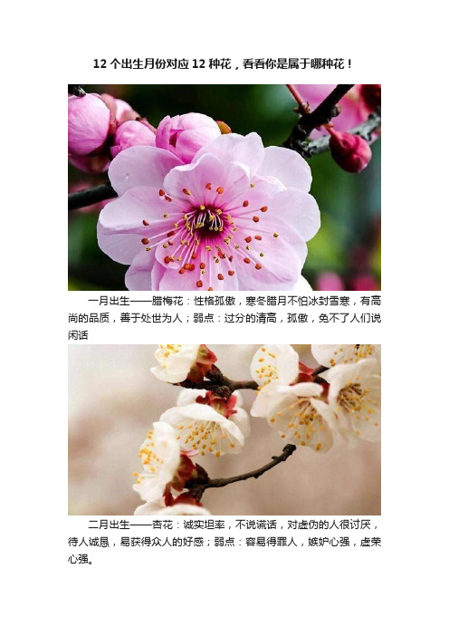 12个出生月份对应12种花，看看你是属于哪种花！