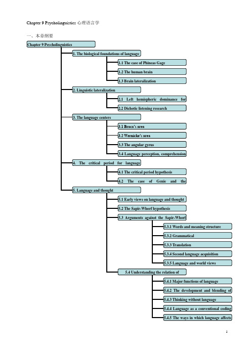 自考英语语言学Chapter 9 Psycholinguistics