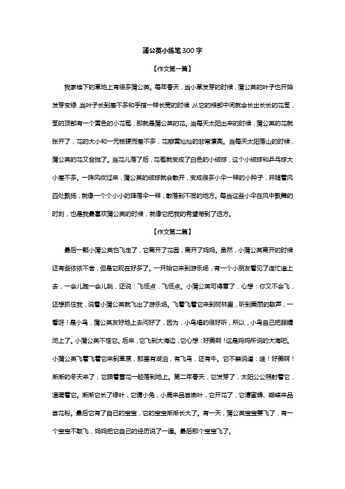 蒲公英小练笔300字