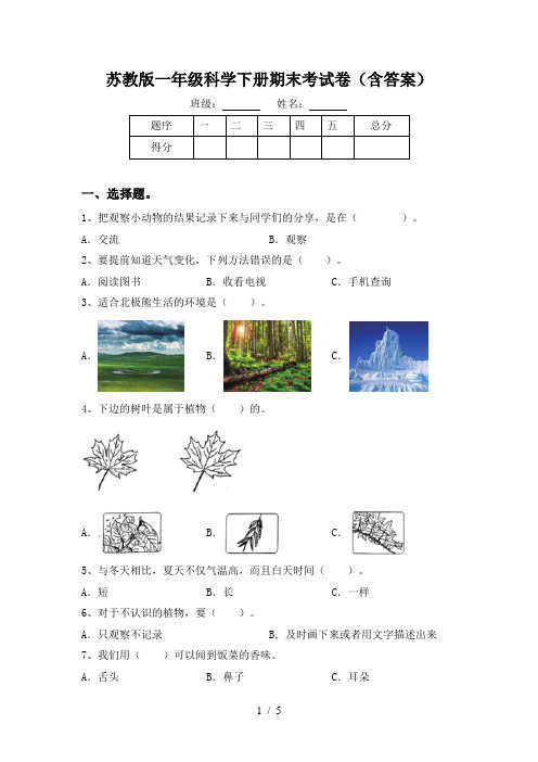 苏教版一年级科学下册期末考试卷(含答案)