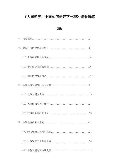 《大国经济：中国如何走好下一程》随笔