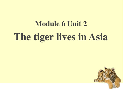 《The tiger lives in Asia》PPT课件