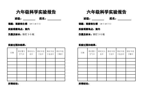 第二单元《铁生锈》实验报告