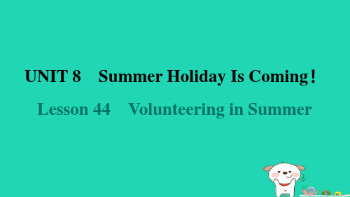 2024七年级英语下册Unit8Lesson44VolunteeringinSummer新版冀教版