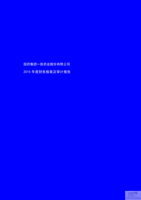 2015年度财务报表及审计报告