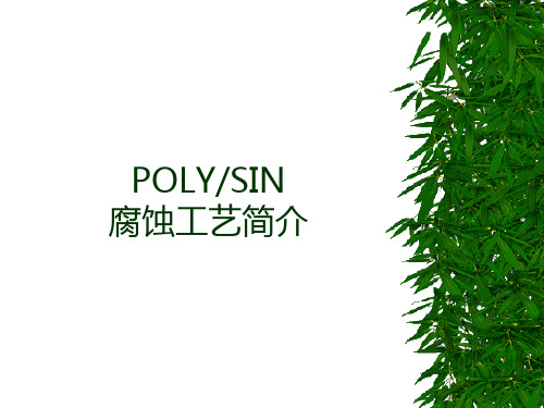 POLYSIN 腐蚀工艺培训update