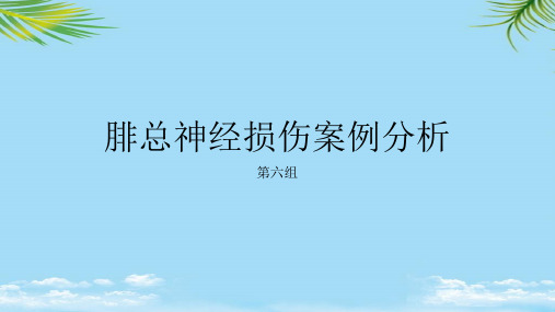 【精】腓总神经损伤案例分析