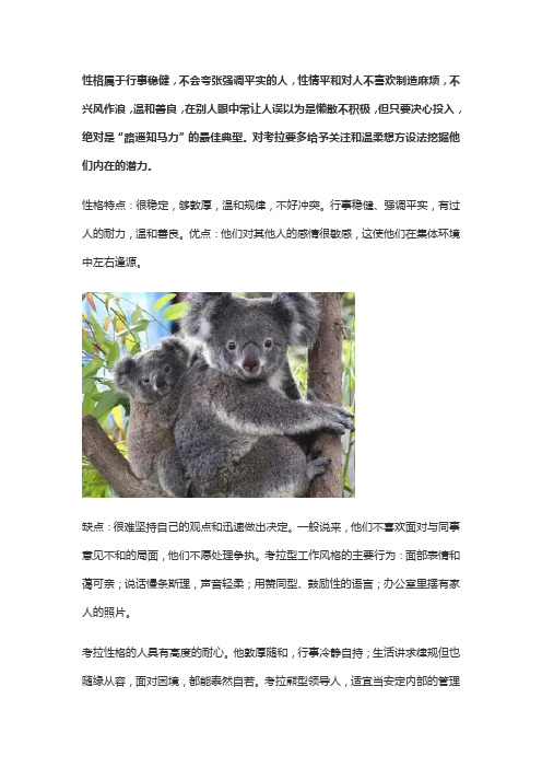 考拉比喻什么样的人