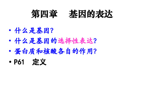 高中生物必修2第4章基因的表达PPT下载