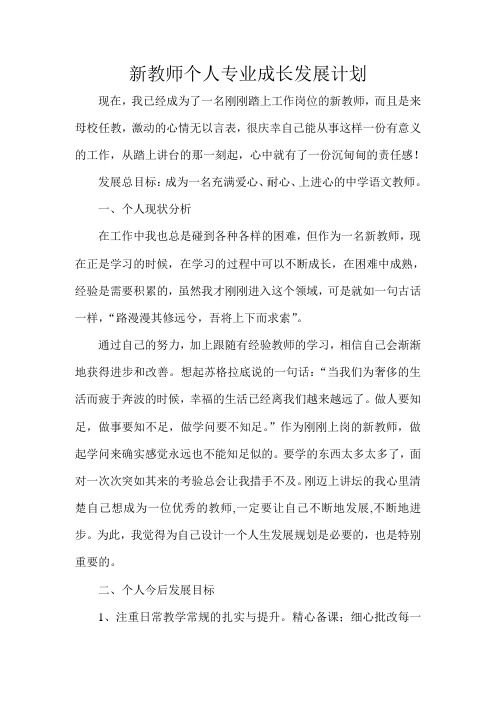 新教师个人专业成长发展计划