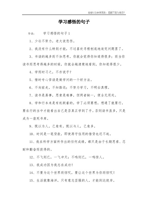 学习感悟的句子