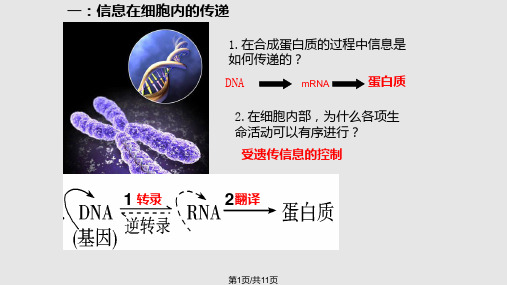 生命系统的信息传递PPT课件