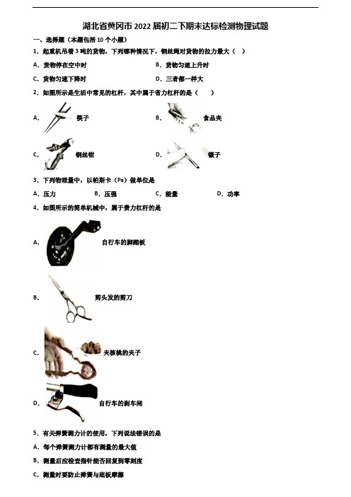湖北省黄冈市2022届初二下期末达标检测物理试题含解析