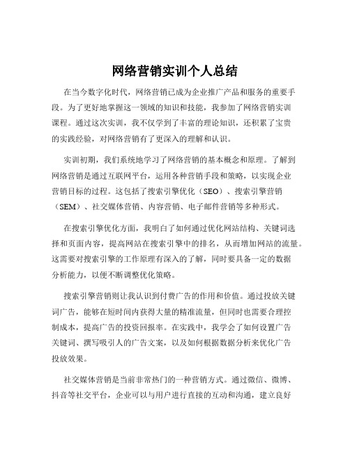 网络营销实训个人总结