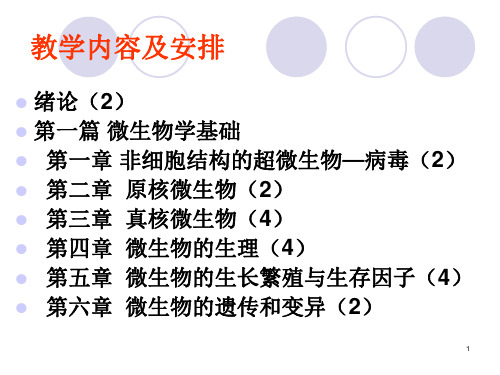 环境工程微生物绪论