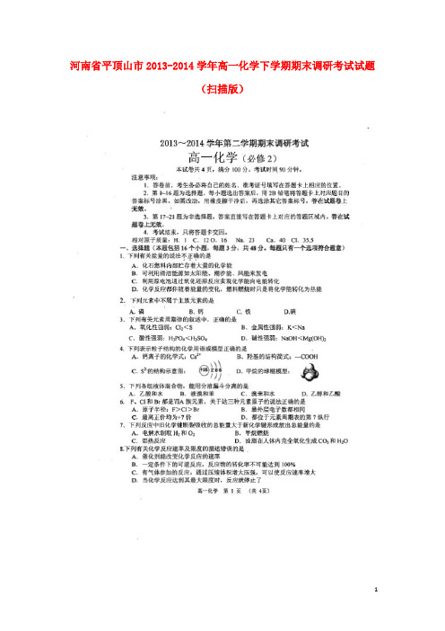 河南省平顶山市高一化学下学期期末调研考试试题(扫描