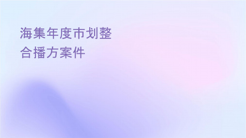 海尔集团年度市场战略企划及整合传播方案课件