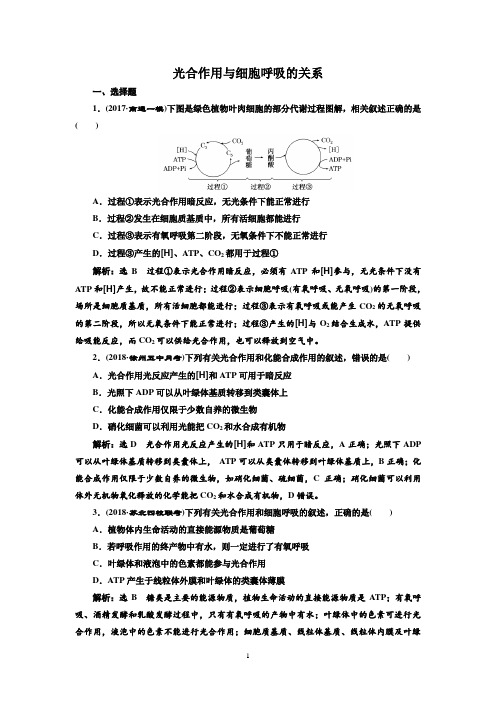 创新一轮复习生物江苏专版：光合作用与细胞呼吸的关系(含解析)