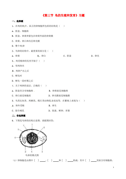 八年级生物上册第四单元第二章第三节鸟的生殖和发育习题(新版)济南版